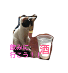 ネロ＆モク 2（個別スタンプ：8）