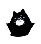 16 BLACK CATS（個別スタンプ：7）