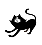 16 BLACK CATS（個別スタンプ：9）