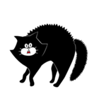 16 BLACK CATS（個別スタンプ：14）