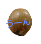 タマネギの気持ち（個別スタンプ：6）