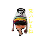 ハルちょ（個別スタンプ：6）