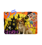 rikufamilyHalloween（個別スタンプ：3）