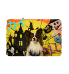 rikufamilyHalloween（個別スタンプ：4）