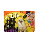 rikufamilyHalloween（個別スタンプ：7）