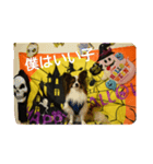 rikufamilyHalloween（個別スタンプ：12）