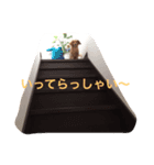 I love cocoro（個別スタンプ：4）