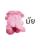 Tualek, The Pink Poodle（個別スタンプ：16）