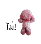 Tualek, The Pink Poodle（個別スタンプ：20）