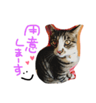 猫めろん（個別スタンプ：19）