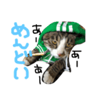 猫めろん（個別スタンプ：24）
