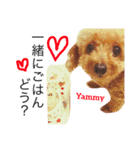 愛犬 りんごちゃん（個別スタンプ：15）