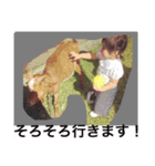 ポニタンプ（個別スタンプ：4）