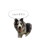 るいちゃんの日常〜ときどきゆう君〜（個別スタンプ：2）