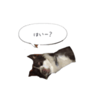 るいちゃんの日常〜ときどきゆう君〜（個別スタンプ：8）