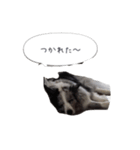 るいちゃんの日常〜ときどきゆう君〜（個別スタンプ：24）