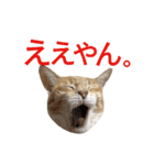 光国先輩（個別スタンプ：5）