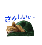 光国先輩（個別スタンプ：9）