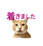 光国先輩（個別スタンプ：10）