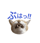 光国先輩（個別スタンプ：16）