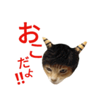 光国先輩（個別スタンプ：20）