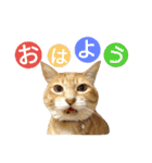 光国先輩（個別スタンプ：21）
