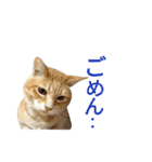 光国先輩（個別スタンプ：28）
