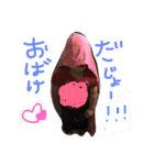 日常的に使える可愛いスタンプです！（個別スタンプ：2）