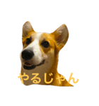 ミッコリちゃん（個別スタンプ：2）