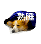 ミッコリちゃん（個別スタンプ：8）