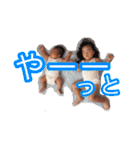 うちのむすめとむすこ（個別スタンプ：17）