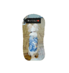 Dog Ram（個別スタンプ：4）