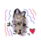 MugiKotetsu ＆nakamatathi（個別スタンプ：4）
