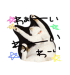 MugiKotetsu ＆nakamatathi（個別スタンプ：17）