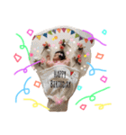 yumeeee（個別スタンプ：40）