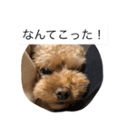 春雄と一緒（個別スタンプ：1）