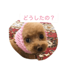 春雄と一緒（個別スタンプ：3）