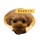 春雄と一緒（個別スタンプ：4）