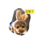 春雄と一緒（個別スタンプ：5）