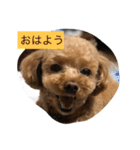 春雄と一緒（個別スタンプ：8）
