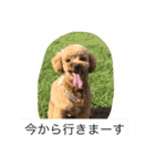 春雄と一緒（個別スタンプ：9）