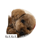 春雄と一緒（個別スタンプ：10）