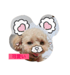 春雄と一緒（個別スタンプ：11）