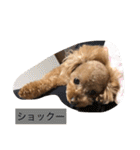 春雄と一緒（個別スタンプ：12）