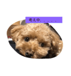 春雄と一緒（個別スタンプ：13）