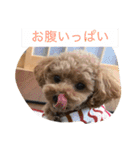 春雄と一緒（個別スタンプ：14）