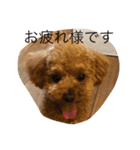 春雄と一緒（個別スタンプ：15）