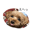 春雄と一緒（個別スタンプ：16）