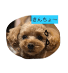 春雄と一緒（個別スタンプ：17）