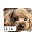 春雄と一緒（個別スタンプ：18）